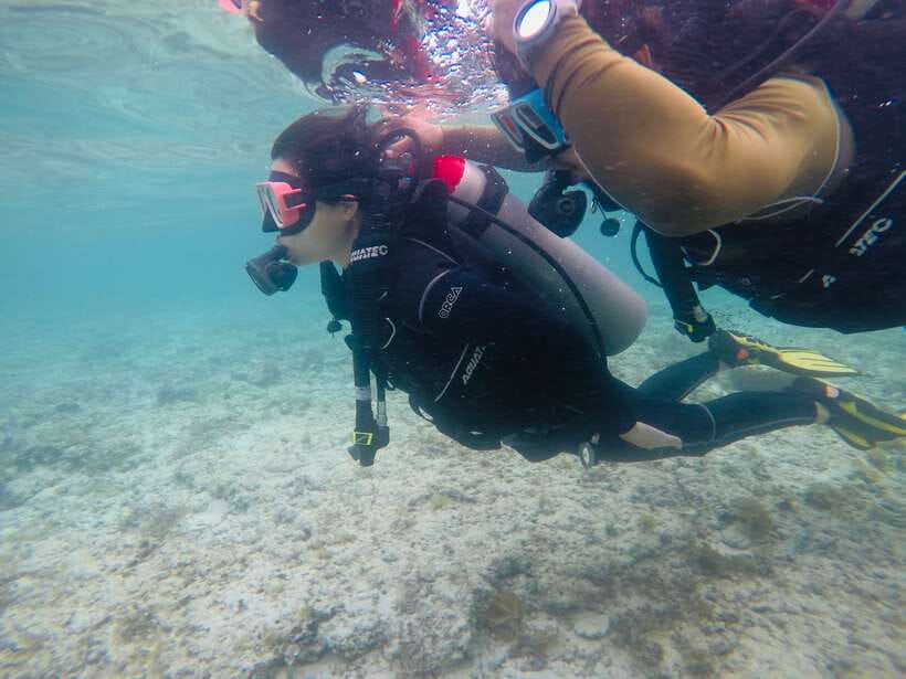 Cebu: Moalboal Scuba Diving with Sardines and Turtle Snorkel - The scuba session with millions of sardines
