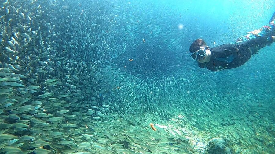 Cebu: Moalboal Snorkeling, Mantayupan Falls & ATV Adventure - What the $117 price includes
