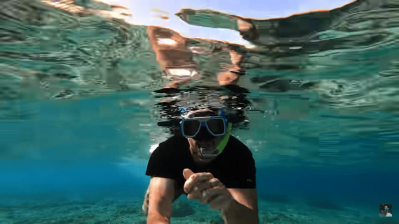 Cebu: Oslob Whale Shark and Moalboal Snorkeling Tour - FAQ