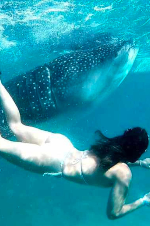 Cebu: Oslob Whale Shark, Sumilon, Ruins, Simala Church - The practical side of a 14-hour road day