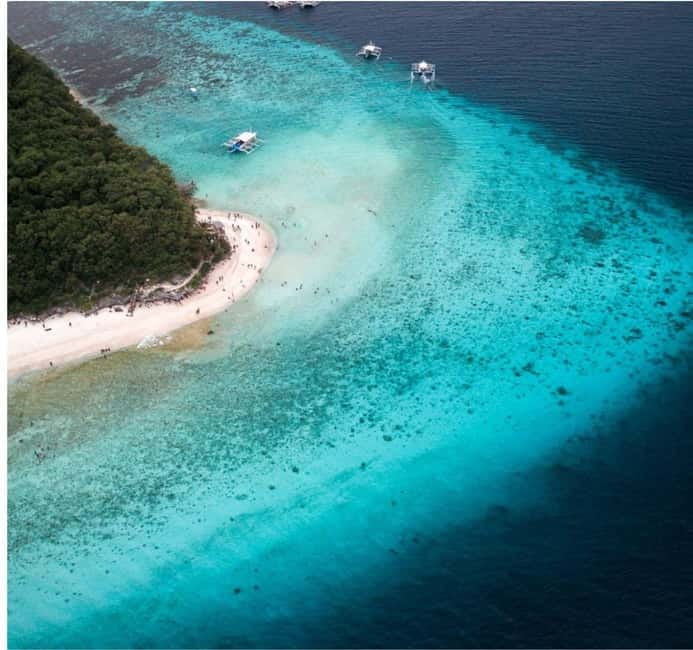 Cebu: Oslob Whale Shark Swim and Sumilon Island Day Tour - Why this Cebu day tour starts before sunrise