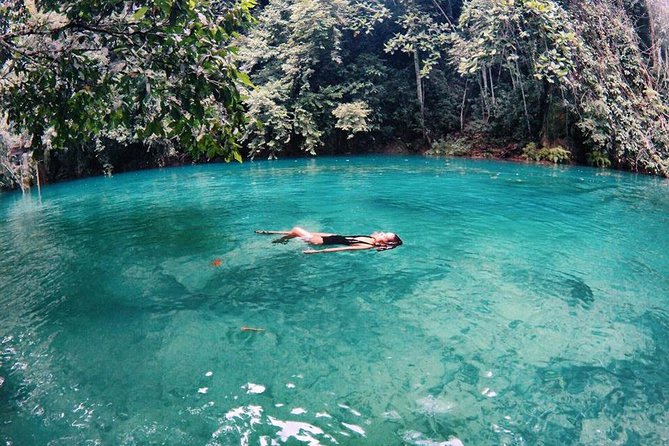 Cebu: Oslob Whale Shark Swimming and Kawasan Falls Canyoneering - Who should book this Cebu day trip?