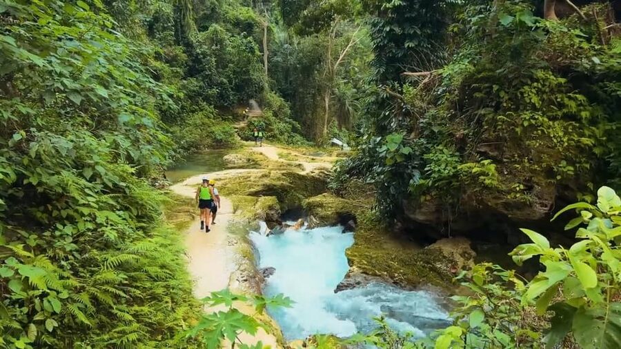 Cebu Oslob Whale Shark Swimming & Kawasan Falls Canyoneering - Kawasan Falls canyoneering: wet, active, and demanding