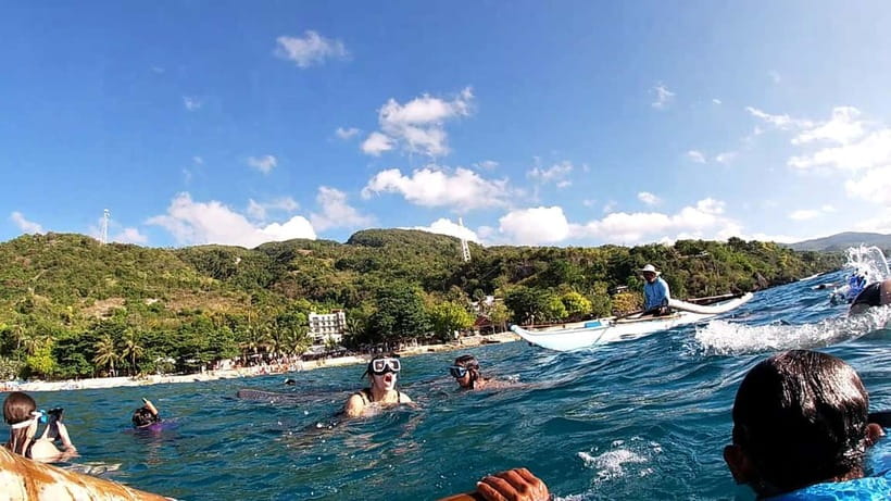Cebu Oslob: Whale Shark Watching Experience - Crowds, boats, and the wildlife question