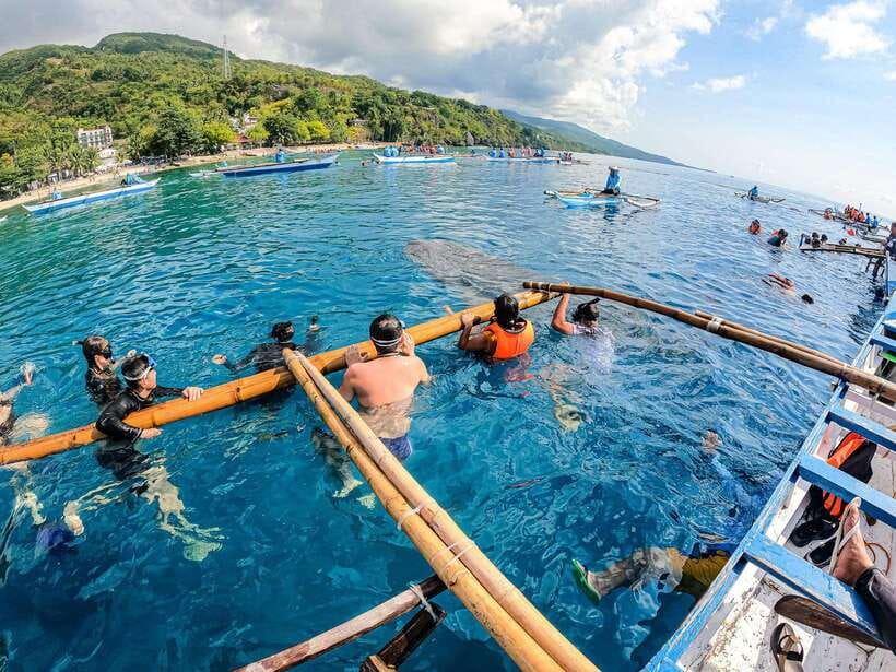 Cebu: Oslob Whale Sharks, Moalboal Sardine Run & Turtles - The 2:40 AM Start and the Ride South