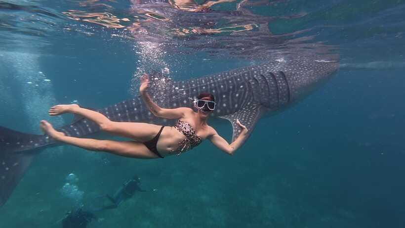 Cebu Oslob Whaleshark, Moalboal Sardines Run&Inambakan Falls - The van time is the real cost of this itinerary