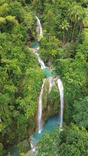 Cebu Oslob Whaleshark, Moalboal Sardines Run&Inambakan Falls - Guides, group size, and the personal touch