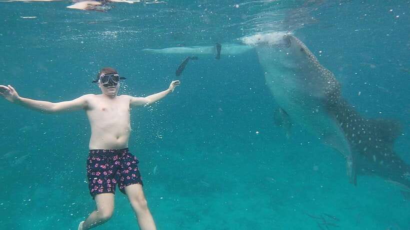 Cebu: Oslob Whaleshark & Sardines Run Snorkeling Day Tour - Guides, photos, and the human side of the day