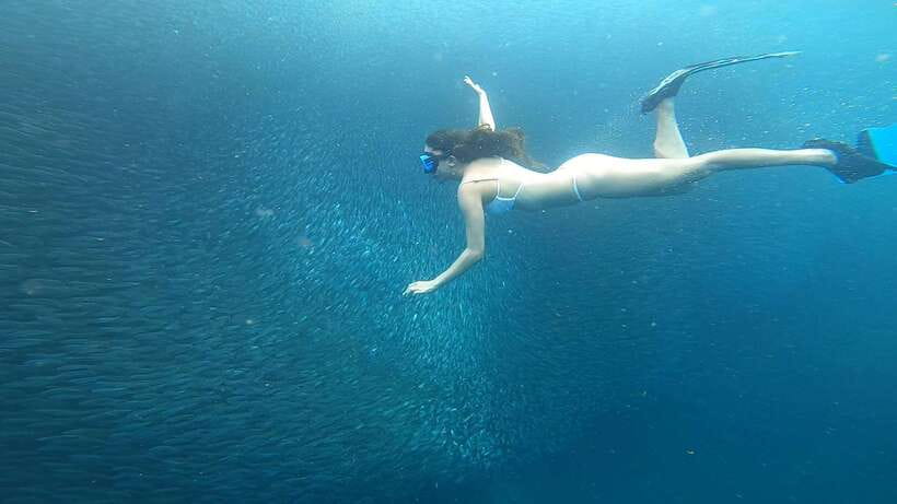 Cebu: Oslob Whaleshark & Sardines Run Snorkeling Day Tour - What the $108 price covers
