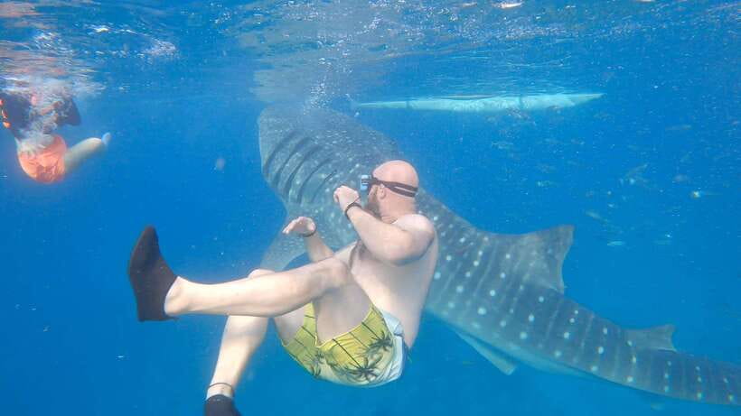Cebu: Oslob Whaleshark & Sardines Run Snorkeling Day Tour - Oslob at sunrise, with whale sharks close by