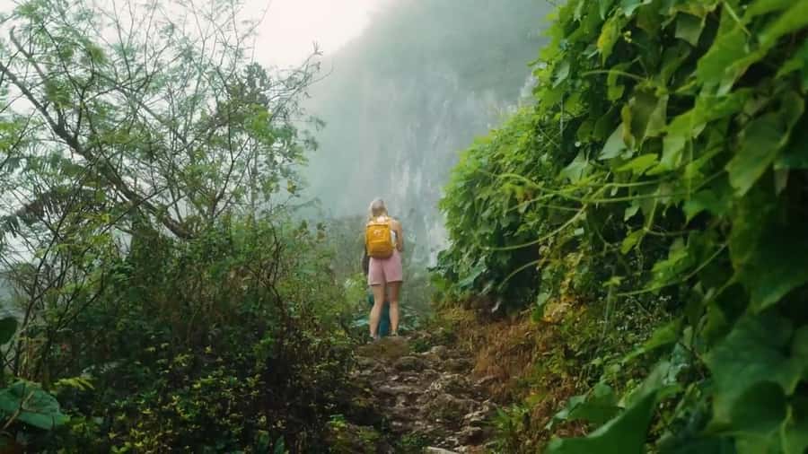 Cebu: Osmeña Peak and Kawasan Canyoneering Day Tour - Who should book this day