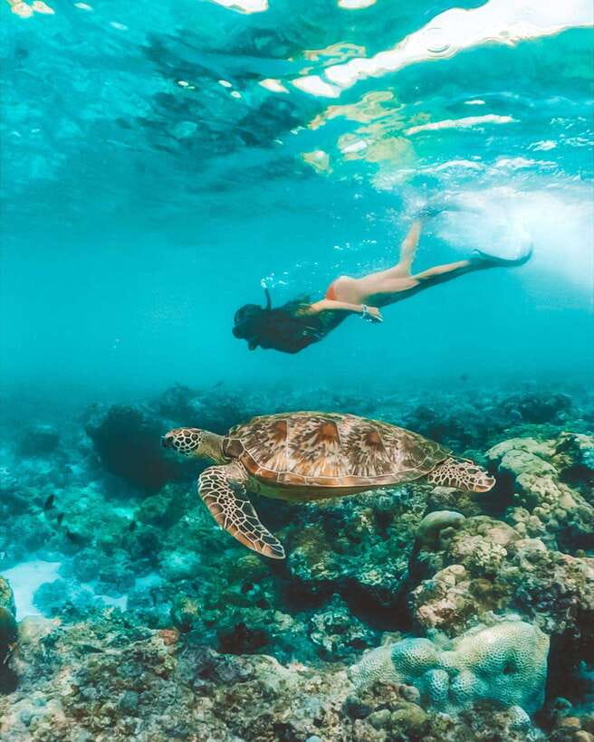 Cebu: Pescador Island, Sardines run and Kawasan Canyoneering - Who should book this Cebu day trip?