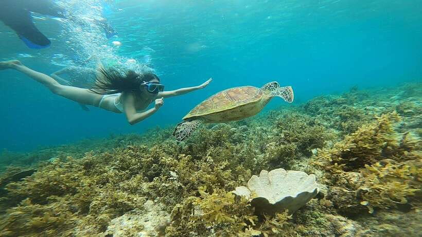 Cebu: Pescador Island, Sardines run and Kawasan Canyoneering - Is $168 a fair price?