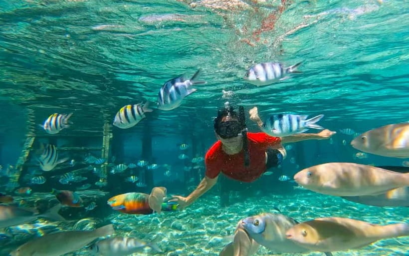 Cebu: Private Mactan Island Hopping Tour with Lunch - Caohagan Island beyond the beach