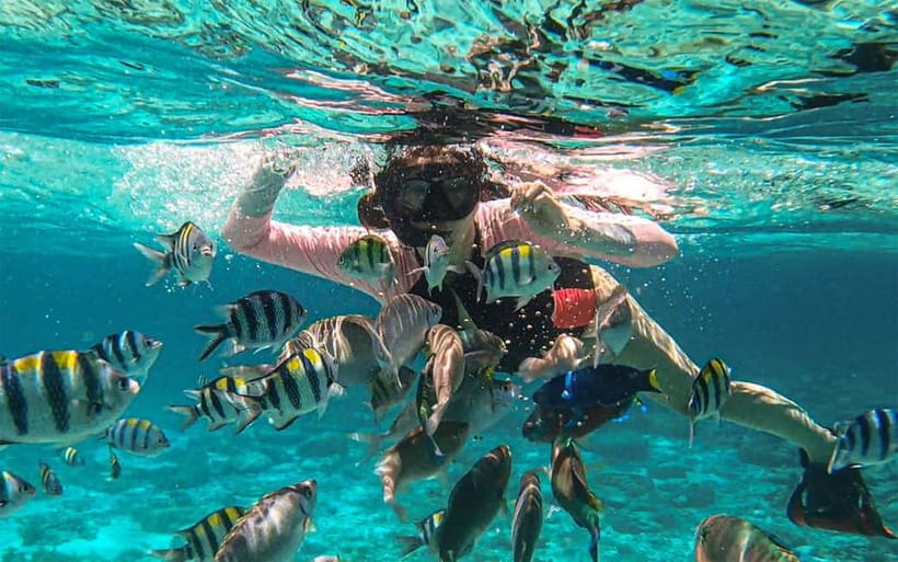Cebu: Private Mactan Island Hopping Tour with Lunch - Nalusuan Island’s long sandbar