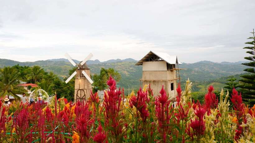 Cebu: Private Panoramic Tour with Dinner - Sirao Flower Garden and the color stop