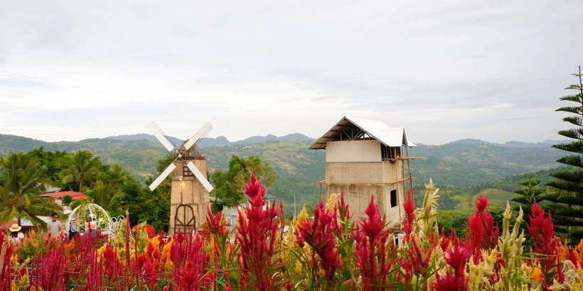 Cebu: Private Panoramic Tour with Dinner - Dinner and the tour’s biggest value question