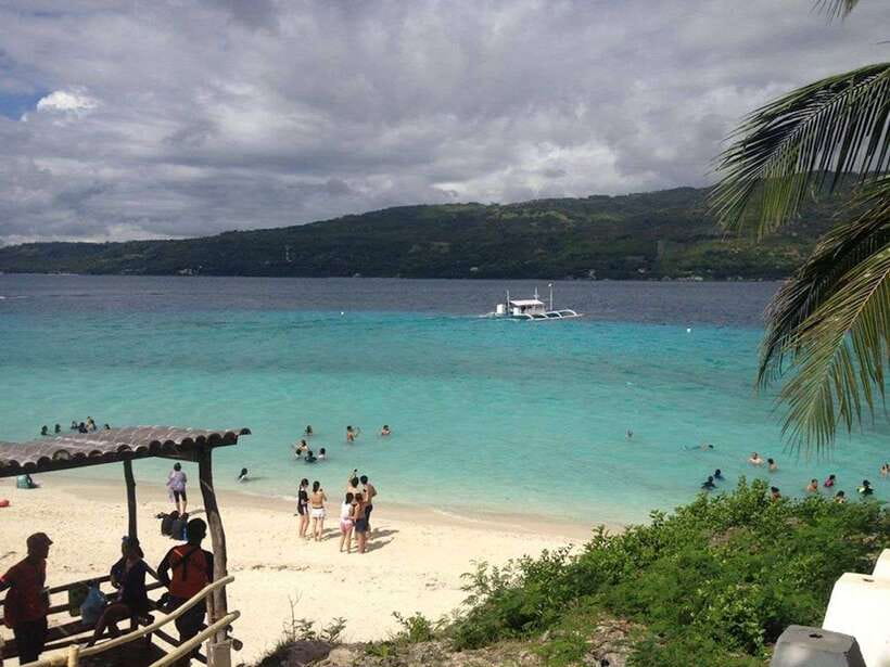 Cebu: Private Sumilon Island & Optional Whale Shark Swim - From Cebu to Oslob before sunrise