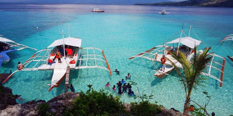 Cebu: Private Sumilon Island & Optional Whale Shark Swim - How the timing can affect the value