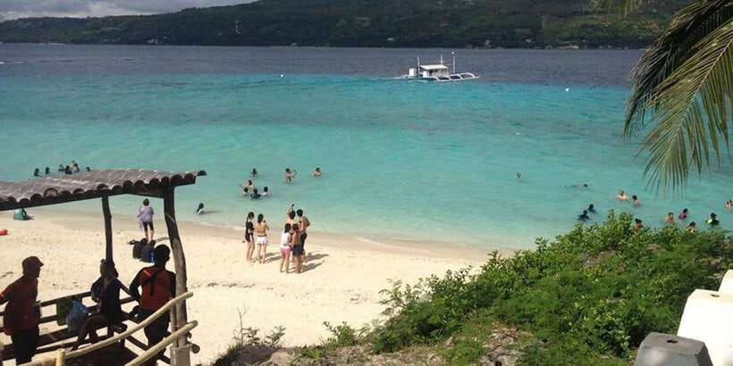 Cebu: Private Sumilon Island & Optional Whale Shark Swim - Who will enjoy this day most