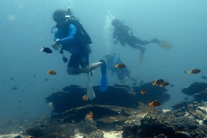 Cebu Private Tour 3 Islands Hopping Gilutungan Caohagan Nalusuan - Pickup, timing, and the shape of the day