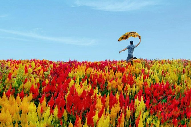 Cebu: Private Twin City Tour +Temple of Leah + Sirao Flower Farm - A full day across Cebu City and Mactan Island
