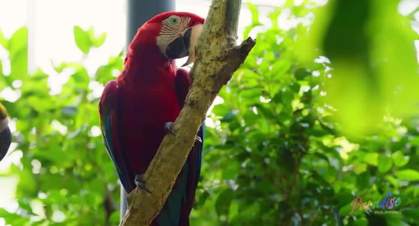 Cebu Safari & Adventure Park: Wildlife Tour with Transfers - The two-hour road trip to Carmen