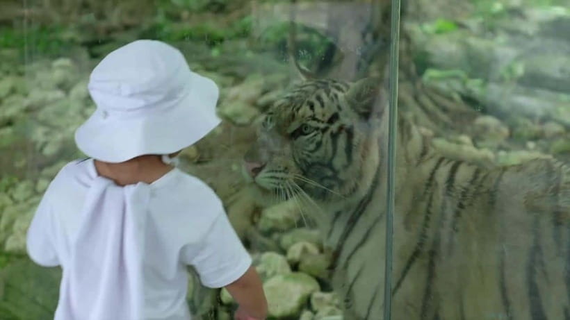 Cebu Safari & Adventure Park: Wildlife Tour with Transfers - Botanical gardens and a quieter afternoon