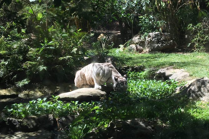 Cebu Safari and Adventure Park - Key points at a glance