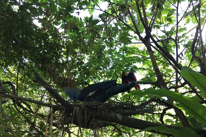 Cebu Safari and Adventure Park - A full animal day outside Cebu