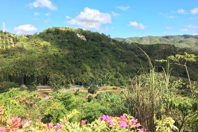 Cebu Safari and Adventure Park - The African Savannah Tour from 10:00 AM to 3:30 PM