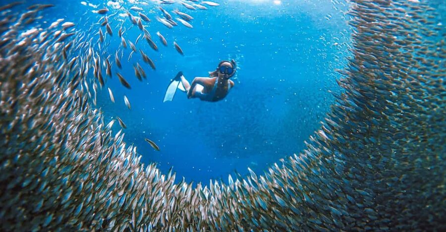 Cebu: Sardine Run Snorkeling, Mantayupan Falls & ATV Thrills - What the Barili ATV ride is really like
