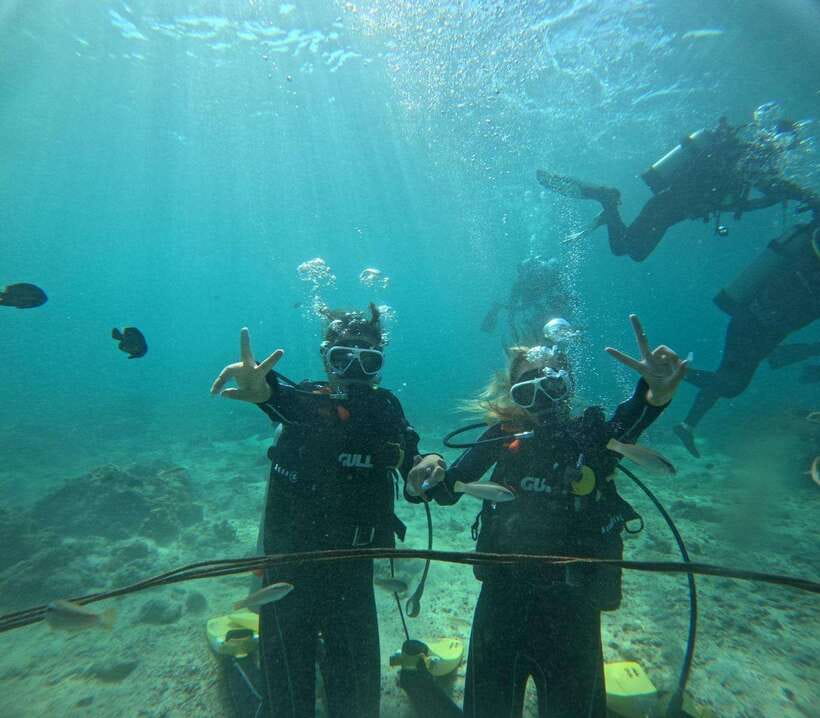 Cebu: Snorkeling + 3 Water Activity Tour - Paddleboards and Inflatable Rides Keep the Mix Flexible
