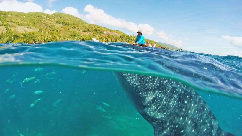 Cebu: Whale Shark Encounter and Kawasan Canyoneering - Entering the Canlaob River