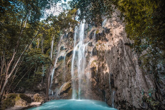 Cebu Whale Shark Encounter, Moalboal Sardines & Tumalog Falls - Oslob whale sharks: the main attraction with a real ethical question
