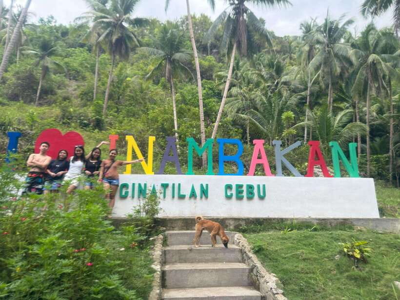 Cebu: Whale Shark, Inambakan Falls & Moalboal Sardine Tour - A 2 a.m. road start to Oslob