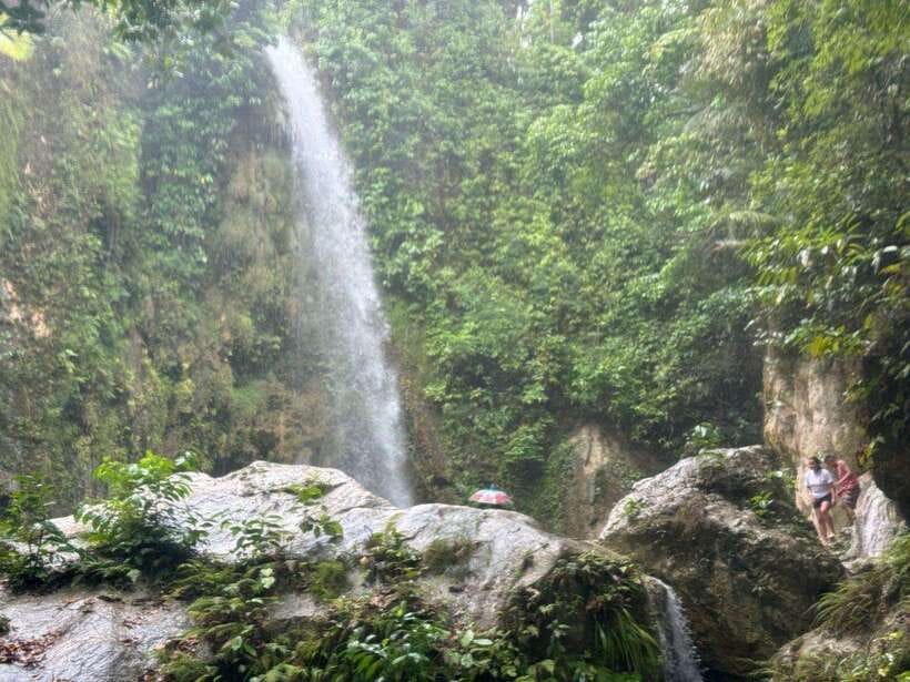 Cebu: Whale Shark, Inambakan Falls & Moalboal Sardine Tour - Breakfast on the road, not in the package