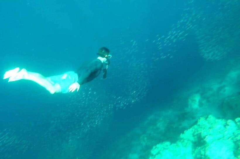 Cebu: Whale Shark, Inambakan Falls & Moalboal Sardine Tour - The real cost is time and energy
