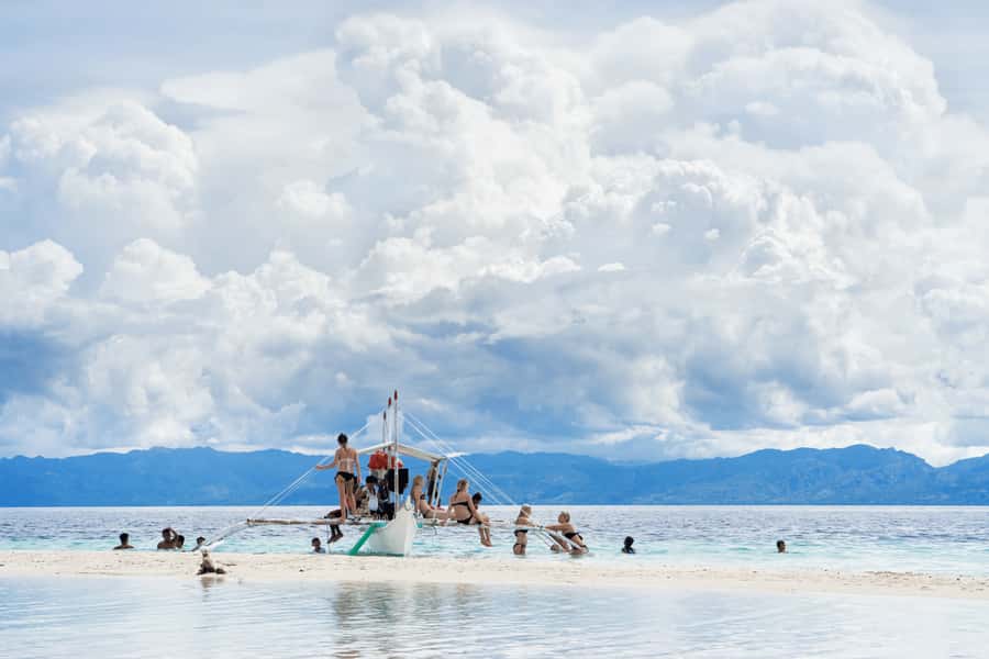 Cebu: Whale Shark, Monkey Sanctuary, & Moalboal Snorkel Tour - Practical booking advice for $117