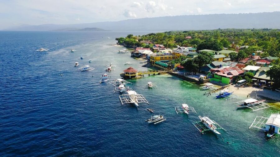 Cebu: Whale Shark, Monkey Sanctuary, & Moalboal Snorkel Tour - Who should book this tour
