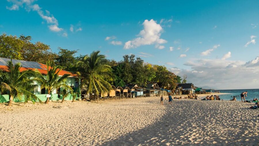 Cebu: Whale Shark, Monkey Sanctuary, & Moalboal Turtles Tour - Sea turtles make Moalboal more than a fish show