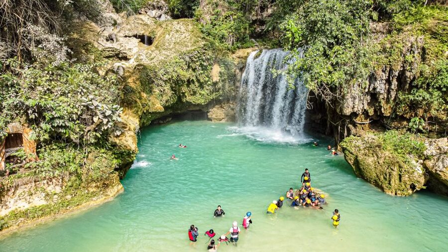 Cebu: Whale Shark Snorkeling & Kawasan Canyoning Tour - What the $152 price really covers