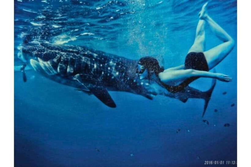 Cebu: Whale Shark Swim and Kawasan Canyoneering Group Tour - Trading snorkel gear for canyon equipment