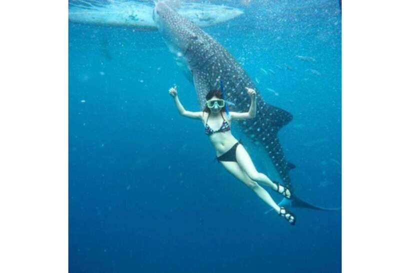 Cebu: Whale Shark Swim and Kawasan Canyoneering Group Tour - Group tour timing and the private option