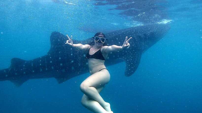 Cebu: Whale Shark Swim, Kawasan Falls & Moalboal Sardine Run - Breakfast is a pause, not a full meal