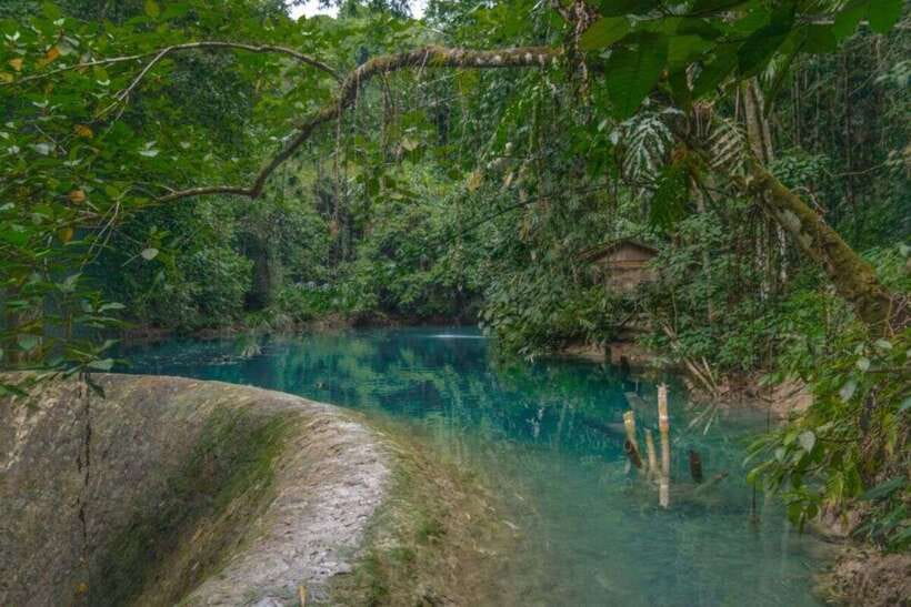 Cebu: Whale Shark Swimming, Sumilon Island and Kawasan Falls - Transport, timing and what the $137 covers