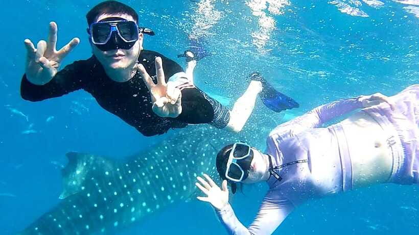 Cebu: Whale Shark, Tumalog Waterfall, and Moalboal Tour - Tumalog Falls changes the pace