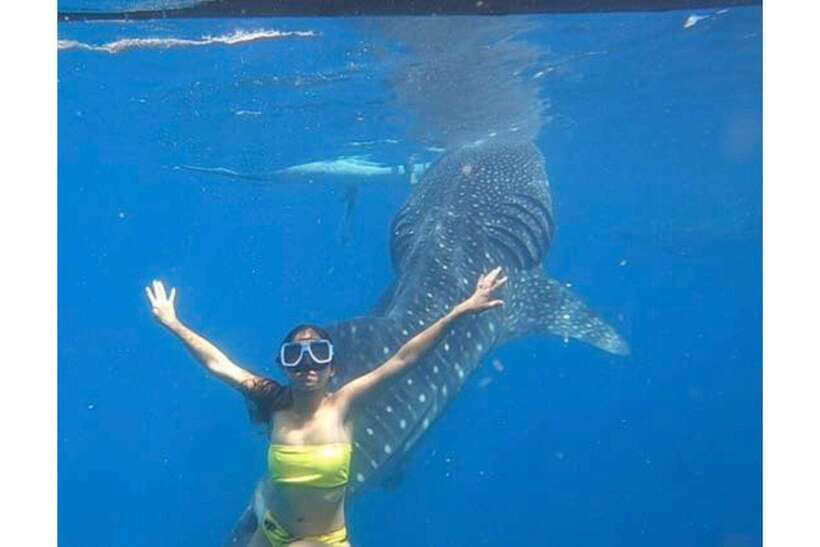 Cebu:Whale Shark, Waterfall, and Sardine Run Group Tour+Meal - Breakfast arrives after the first swim