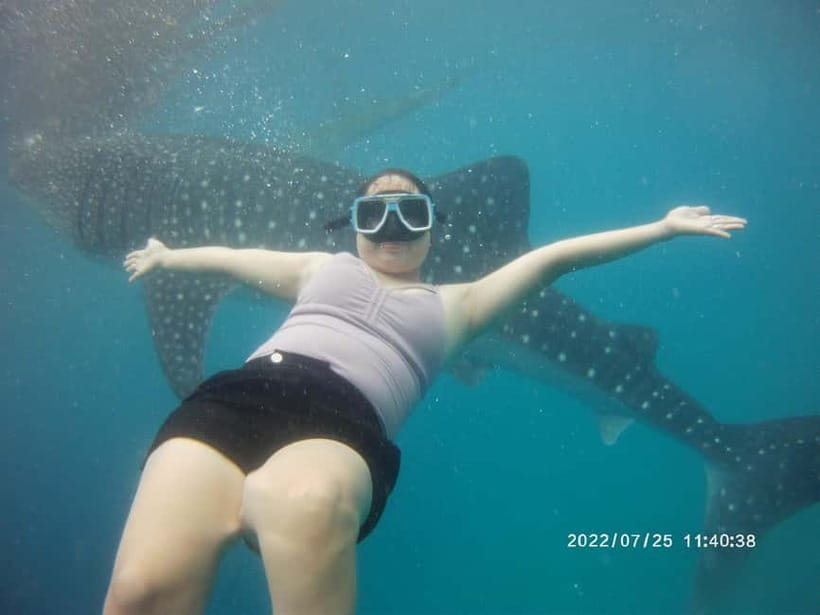 Cebu: Whale Sharks, Kawasan Falls, & Sardines Run Snorkeling - What to pack for a wet, early start