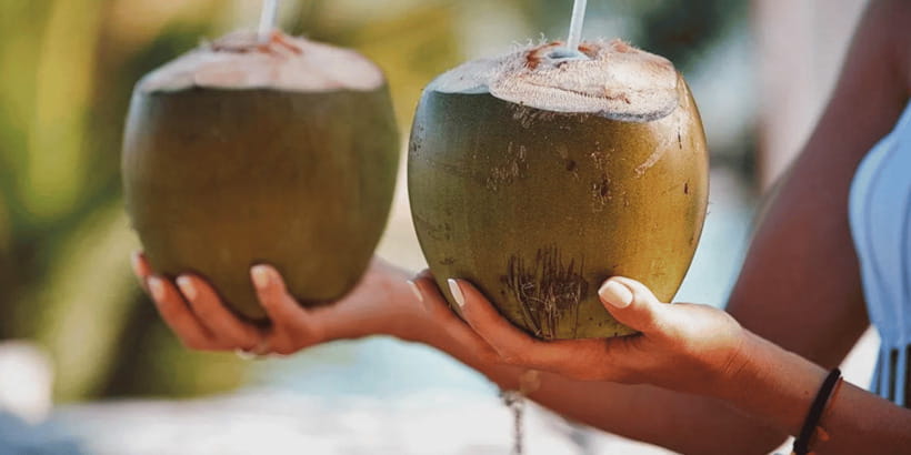 Cebu: Whale Sharks, Tumalog Falls, and Monkey Sanctuary Tour - Lunch, local flavor, and fresh coconut